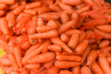Bunch or heap of fresh organic raw carrots in plastic net mesh bags on a  table for sale in Tamil Nadu India. Fresh vegetables from home garden farm. 