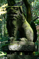 a sculptured dog at the entrance of Japanese temple 