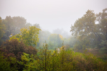 Autumn fog in the old majestic park. Colorful leaves on the trees.