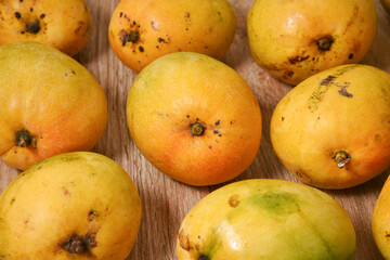 Many organic ripe Alphonso mango orange yellow color freshly hand plucked from Indian plantation farm in Kerala. tropical fruit, many mangoes arranged on a wooden table. National fruit of India.