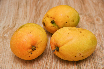 Many organic ripe Alphonso mango orange yellow color freshly hand plucked from Indian plantation farm in Kerala. tropical fruit, many mangoes arranged on a wooden table. National fruit of India.