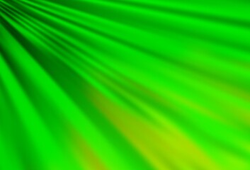 Light Green vector pattern with narrow lines.