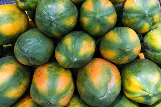 Many ripe papaya displayed for sale in market Kerala India. Raw healthy fruit. Papaya for skin health spa. 