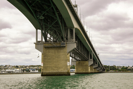 Bungee Jumping In Auckland, New Zealand