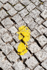 Signalisation en forme de pied