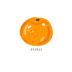 Orange isolated on white, vector illustration. Orange clementine fruit illustration, simple style. 