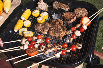 Assorted delicious grilled meat with vegetables on barbecue grill with smoke and flames in green...