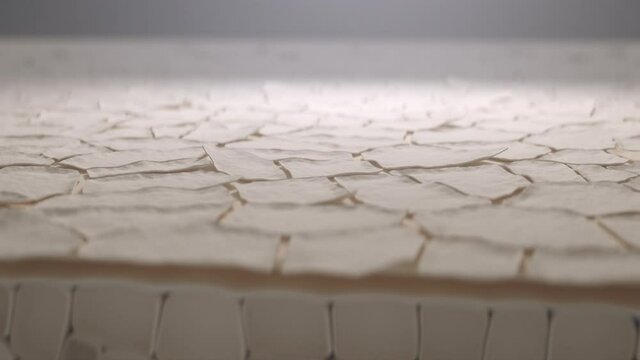Dead epidermis cells on a dry surface of the skin, macro 3d animation, camera pan.