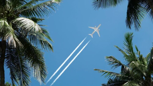 Cinemagraph - airplane flying above the palms. Concept of Travel, transportation, aviation, journey, adventure. Loopable cinemagraph plotagraph effect.