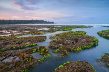 Fototapeta na wymiar Sunset on the beach. Green moss on the rock. Water motion on the beach. 
