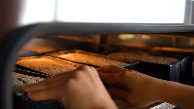 Sour dough bread enter the oven. Slow motion.