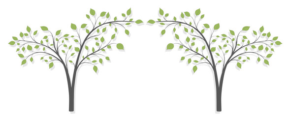 Two trees with green leaves in the form of an arch on a white background