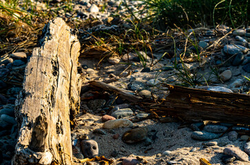 Piece of old broken up driftwood sitting on a beach.