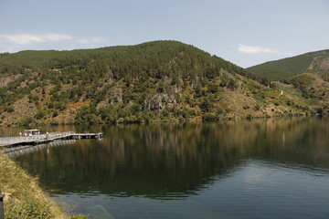 vineyard in galicia spain