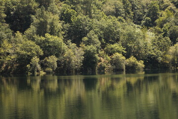 Fototapeta na wymiar nature reflection in river in galicia spain