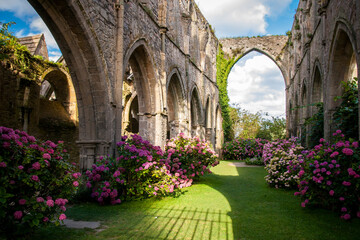 Fototapeta na wymiar old monastery with ping flowers, brittany, france