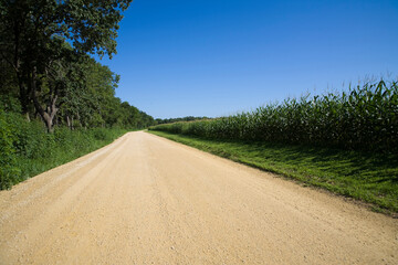コーン畑の1本道