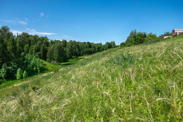 Fototapeta premium Grasslands and blue skies