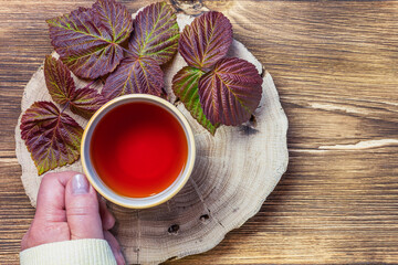 Herbal medicine, homeopathy, hot healing morning herbal aromatic tea infusion of autumn raspberry leaves in the hands of a woman flatlay on a natural wooden background top view with copy space