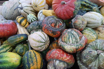 Pumpkins, heap of vegetables with different shapes and colors, closeup, background - 381711963