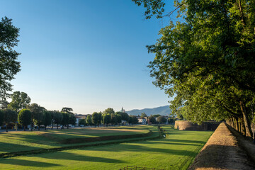 Lucca city wall fortifications in spring, Tuscany, Italy