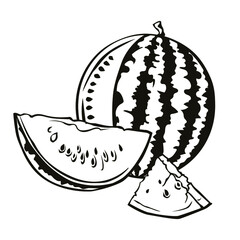 watermelon, watermelon slices, sketch, doodle, black and white, vector graphics, print, label