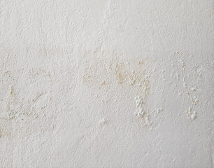 Soft white cement wall for the background.