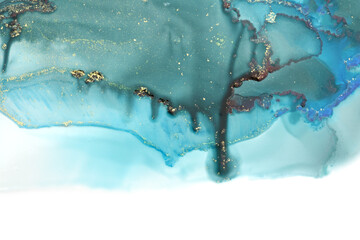 Art Abstract watercolor and acrylic flow blot painting. Color canvas marble texture background. Alkohol ink.