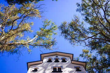Summer mansion among trees, seen from below, painted white and blue.