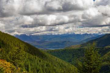 Fototapeta na wymiar Forest and cloudscape over Glacier National Park, Montana