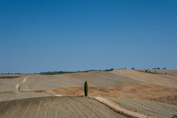 typical summer Tuscany landscape in Italy