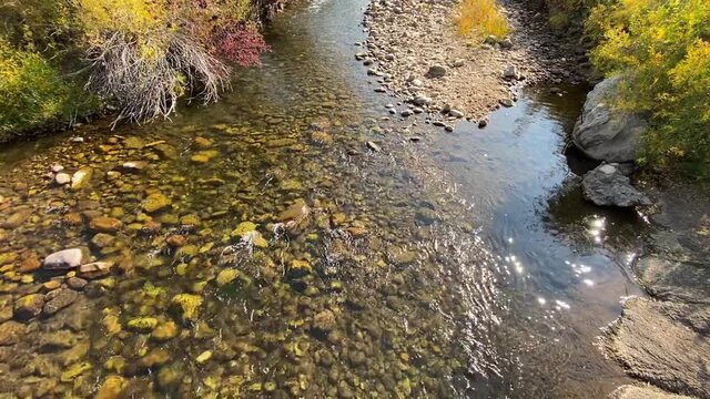 A fresh water stream in autumn.