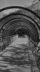 Slinky springs to Fame Oberhausen black and white Rhein-herne-kanal gasometer 