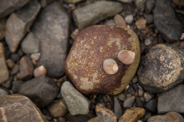 Seaside rocks
