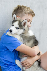 Dog owner petting and scratching his pet on a concrete background, a loving affectionate relationship. A blonde happy boy with his little dog husky.   Lovely dog. Best pet for kid. Friendship Concept.