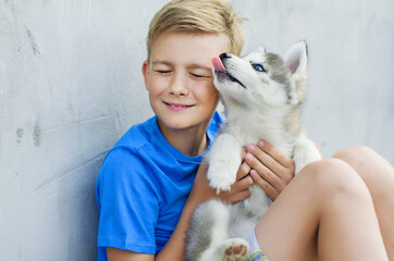 Dog owner petting and scratching his pet on a concrete background, a loving affectionate relationship. A blonde happy boy with his little dog husky.   Lovely dog. Best pet for kid. Friendship Concept.