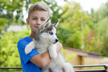 Best pet for kid. A blonde happy boy with his little dog husky.   Lovely dog. Best pet for kid. Friendship Concept.
