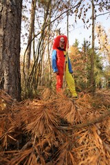 Halloween holiday party . Masquerade and carnival concept. Scary clown costumes. Creepy clown in the autumn forest.