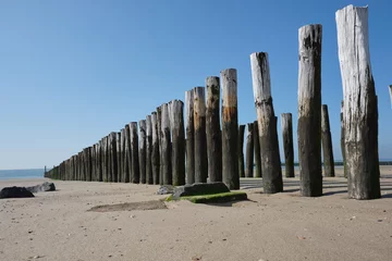 Tuinposter Wooden Posts of a beach erosion protection system along the beach at the town of Vlissingen in Zeeland Province in the Netherlands © Tjeerd