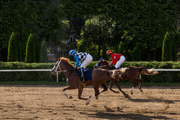 racetrack horse racing jockey approaching the finish line, sports with horses, riding a stallion