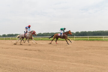 racetrack horse racing jockey approaching the finish line, sports with horses, riding a stallion