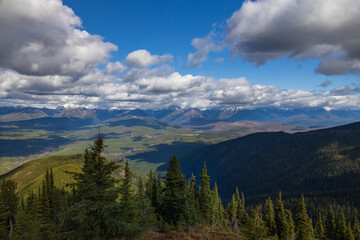 Forest and cloudscape over Glacier National Park, Montana