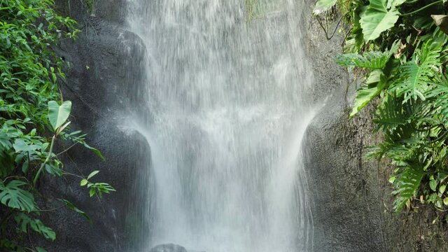 Eden Project, Cornwall, United KIngdom - Refreshing Waterfall Cascade In The Rainforest Biome - tilt down shot