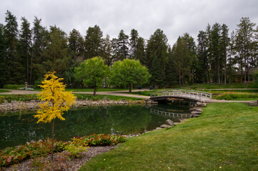 Fototapeta premium A Beautiful Garden with a Pond