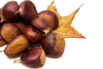 isolated chestnuts with autumn leaves