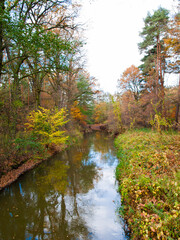 Autumn in the park