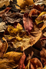 Dry autumn leaves on wooden board