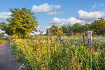 Obraz premium Summer landscape in Serbia, Europe