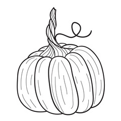 Pumpkin for coloring book. Line art design for kids coloring page.Isolated on white background.Vector illustration
