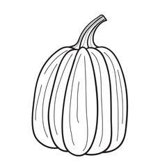 Pumpkin for coloring book. Line art design for kids coloring page.Isolated on white background.Vector illustration